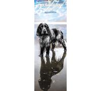 English Springer Spaniel 2027 Slim Calendar