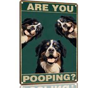 English-Springer Spaniel 8x12 Inch Are You Pooping Sign Bathroom Decor- Dog Metal Poster Dog Lover Gift Art Funny Dogs Wall Art Decoration Retro Metal Tin Sign