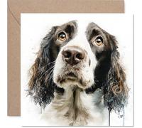 English Springer Spaniel Birthday Card for Men Women - Dog Breeds - Happy Birthday Card for Brother Cousin Friend Son, 145mm Bday Greeting Cards
