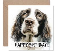 English Springer Spaniel Birthday Card for Men Women - Dog Breeds - Happy Birthday Card for Nan Friend Daughter Brother, 145mm Bday Greeting Cards