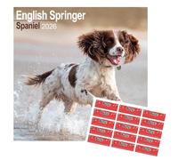 English Springer Spaniel Calendar 2026 | 16 months | with FREE Organisational Stickers