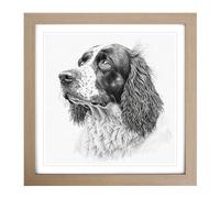English Springer Spaniel Drawing Framed Print | 18x18 Inch Oak Framed Wall Art | Ready to Hang | Modern Animal Picture | Living Room Bedroom Lounge Office