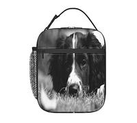 English Springer Spaniel Lunch Bag, Durable Insulated Lunch Box Reusable Adults Tote Bag Reusable Cooler Bag