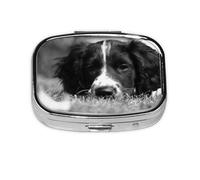 English Springer Spaniel,Meta Pill Box 2 Compartment Medicine Case,Portable Organizer,Rectangle Meta Portable Organizer Pill Box 1228 Compartment Medicine Case
