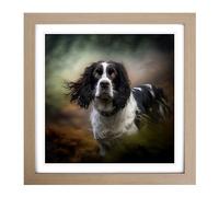 English Springer Spaniel Photograph No.1 Framed Wall Art Print, Ready to Hang Picture for Living Room Bedroom Home Office, Oak 18 x 18 Inch (45 x 45 cm)