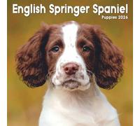 English Springer Spaniel Puppies Mini Calendar 2026