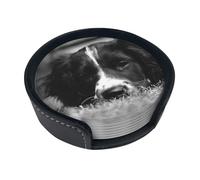 English Springer Spaniel,Set of 6 Round Coasters, Pu Leather Drinks Coasters with Holder for Home Office Kitchen