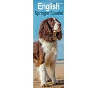 English Springer Spaniel Slim