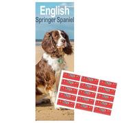 English Springer Spaniel Slim Calendar 2026 | Dog Breed Slimline Calendar | 12 Month Wall Calendar | January 2026 To December 2026 | With Free Organisational Stickers