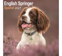 English Springer Spaniel Wall