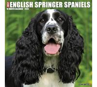 English Springer Spaniels 2026 12 X 12 Wall Calendar
