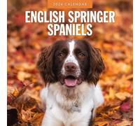English Springer Spaniels - 2026 Square Wall Calendar - by Red Robin Publishing