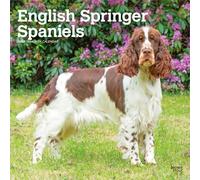 English Springer Spaniels 2027 Square Flap: Original BrownTrout-Kalender [Mehrsprachig] [Kalender] (English Springer Spaniels | 2027 12 x 24 Inch ... | BrownTrout | Animals Dog Breeds)