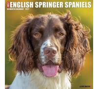 Willow Creek Press, Just English Springer Spaniels 2027 Wall Calendar