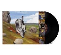 English Teacher : This Could Be Texas VINYL 12" Album (2024) NEW