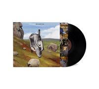 English Teacher This Could Be Texas (Vinyl) 12" Album (US IMPORT)