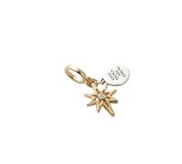 Engravable North Star Lab-Grown Diamond Dangle Charm - female - Pandora - Necklaces - Multicolor - ONE SIZE - Accessories ONE SIZE