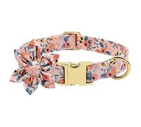 Engraved Dog Collar with Leash Nylon Printed Dog Id Collars Pet Walking Belt for Small Medium Large Dogs Flower Accessory (Orange Medium)