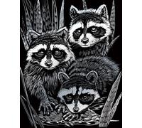 Engraving Art Scraper Foil Kit - A4 - Silver Gold Rainbow Copper - 48 Designs (SILF46 - Raccoons)