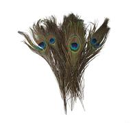Enhance Your DIY Projects with 1020pcs Peacock Tail Natural Fly Fishing Feathers (20pcs)