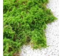 Enhance Your Garden with Realistic Artificial Turf Flocking Lawn for Indoor and Outdoor Decoration (Shade Green 20 x 20)