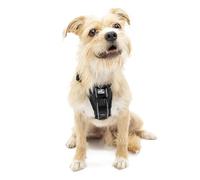 Enhanced Strenght Tru-Fit Smart Harness, Black, Small