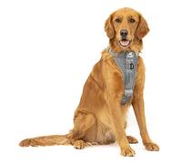 Enhanced Strenght Tru-Fit Smart Harness, Charcoal, Large