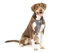 Enhanced Strenght Tru-Fit Smart Harness, Charcoal, Medium