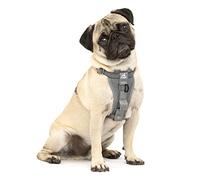 Enhanced Strenght Tru-Fit Smart Harness, Charcoal, Small