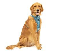 Kurgo Dog Car Harness Tru-Fit Smart Harness Enhanced Strength Blue XL