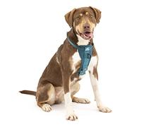 Tru-Fit Smart Harness - M