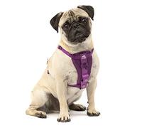 Enhanced Strenght Tru-Fit Smart Harness, Purple, Extra Small