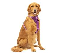 Tru-Fit Smart Dog Walking Harness - Purple, Purple L