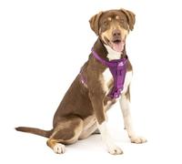 Kurgo, Enhanced Strength Tru-Fit Smart Harness for Dogs, Purple, Medium