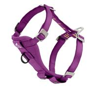 Enhanced Strenght Tru-Fit Smart Harness, Purple, Medium | Crash Test Certified, Five Point Adjustment, Secure Buckle, Padded Chest