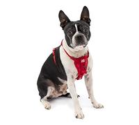 Enhanced Strenght Tru-Fit Smart Harness, Red, Extra Small