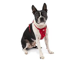 Enhanced Strenght Tru-Fit Smart Harness, Red, Small