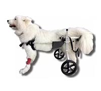 ENHEN Dog Wheelchair Medium Large Dog Wheelchair for Back Legs, Assisted Disabled Dachshund Doggie Walker Recovery, Protect Chest Pet Rehabilitation Cart (Size : XL Size)