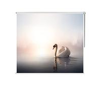 ENHEN Roller Blinds Swan Patterned Roller Blinds for Window/Bathroom, 60/70/80/90/100/110/120/130/140 cm Width, Thick Reduce Noise Bedroom Roller Blinds (Size : 100cmx100cm/39.4inx39.4in)