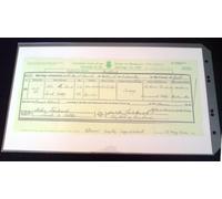 Enigma Archival Acid Free Long Certificate Pocket for Ring Binders 25 Pack