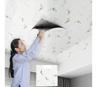 Enigmaire Pvc Ceiling Panels,self Adhesive Ceiling Tiles,drop Ceiling Tiles Pvc Sheet,ceiling Cladding,Flexible And Crack-Resistant,Easy To Cut,waterproof,Washable,For Residential/Bathroom/Kitchen