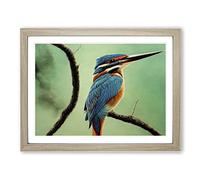 Enigmatic Kingfisher Bird Framed Print | A2 Oak Framed Wall Art | Ready to Hang | Modern Nature Picture | Living Room Bedroom Lounge Office