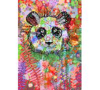 Enigmatic Panda