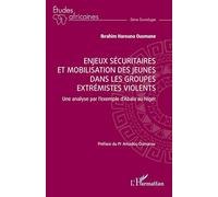 Enjeux sécuritaires et mobilisation des jeunes dans les groupes extrémistes violents: Une analyse par l’exemple d’Abala au Niger
