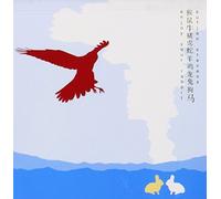 Enjoy Your Rabbit By Sufjan Stevens (2006-08-14)