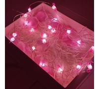 Enjoyaa Tropical Theme 3D LED String Lights Warm Light Flamingo Pineapple Cactus Fairy Lights Hanging Lights for Beach Pool Summer Wedding Party,Battery Powered(2m,20LEDs)