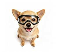 Enjoying Clear Dog Goggles for Small Dogs, UV Protection Pet Sunglasses for Small Dog Breeds, Windproof Dust-Proof, Little Dog Eye Protection for Outside Cycling Driving, Adjustable Straps, Clear