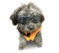 Enjoying Dog Goggles for Small Dogs, UV Protection Small Dog Sunglasses, Outdoor Doggies Eye Protection, Windproof Dustproof, Adjustable Hea