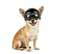 Enjoying Dog Helmets and Goggles Small Breed, Small Dog Sunglasses Helmets for Extra-Small Dogs, Tiny Dog Cat Bike Helmet with Ear Holes, Outdoor Puppy Helmet for Motorcycle, Adjustable, XS