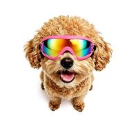Enjoying Dog Sunglasses Small Breed, UV Protection Dog Goggles, Cycling Eye Protection for Small Dogs, Outdoors Breathable Windproof Dustproof Anti-Fog, Adjustable Straps, Pink